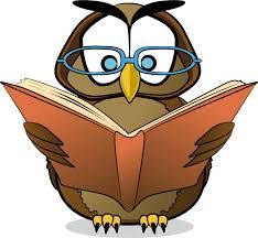 Owl.jpg
